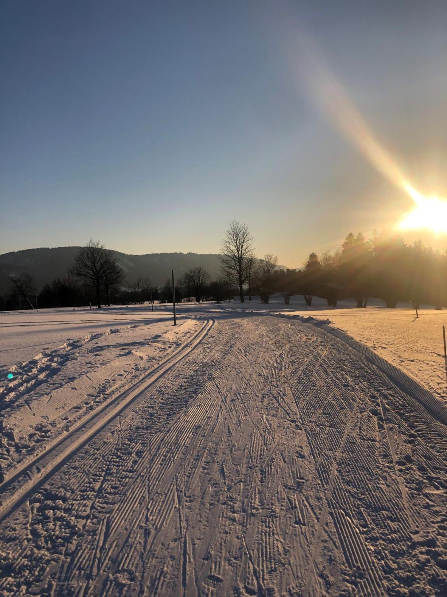 Natur- & Aktivoase Buchenberg  Exteriör bild