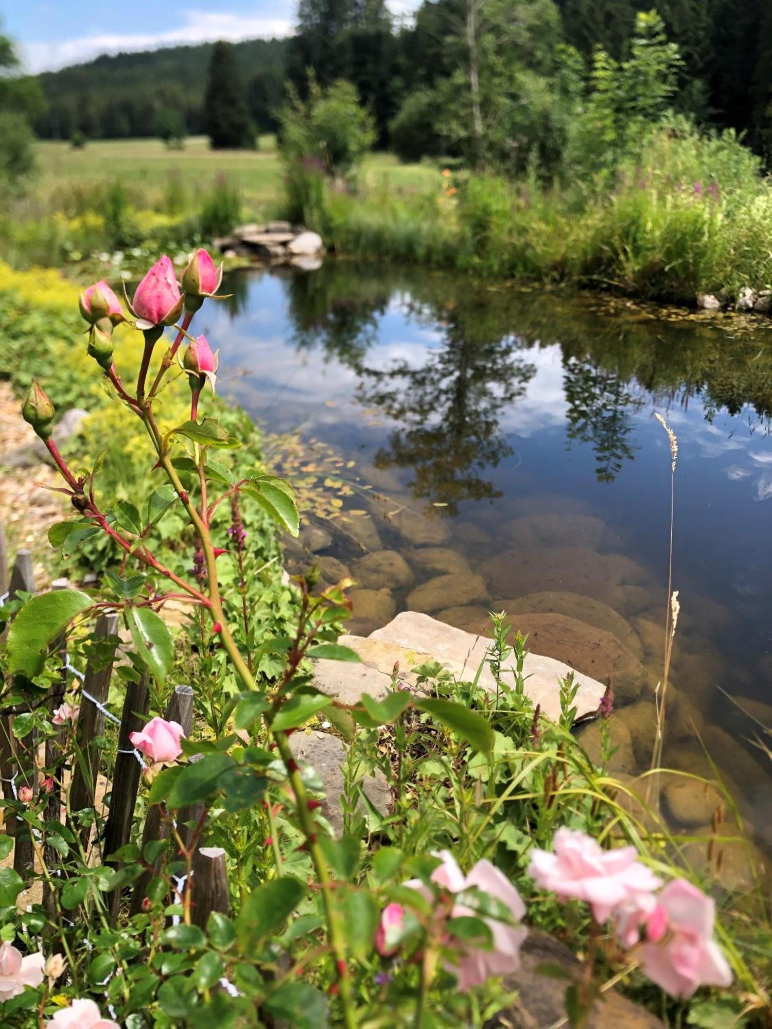 Natur- & Aktivoase Buchenberg  Exteriör bild