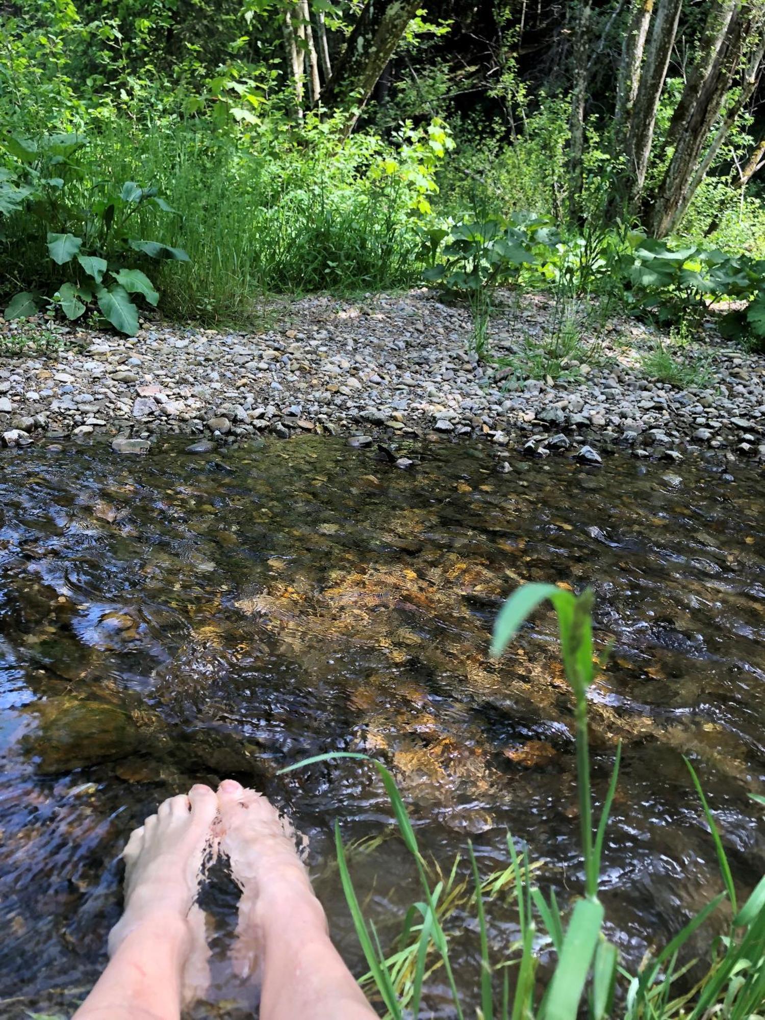 Natur- & Aktivoase Buchenberg  Exteriör bild